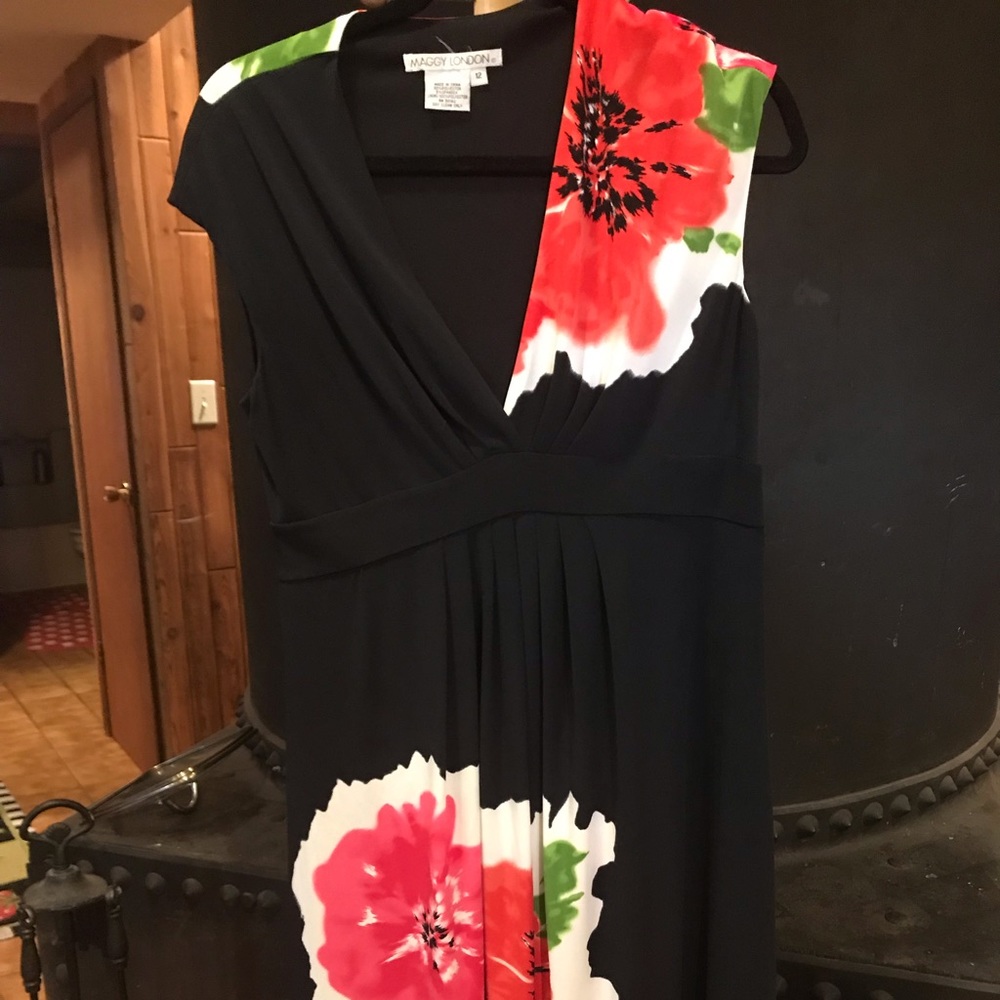 Maggy London poppy dress